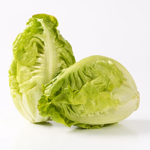Lettuce Gem 500g Spain